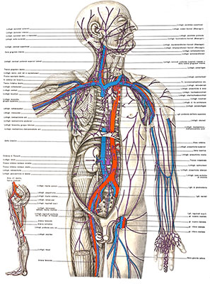 Il trattamento del linfedema a Milano