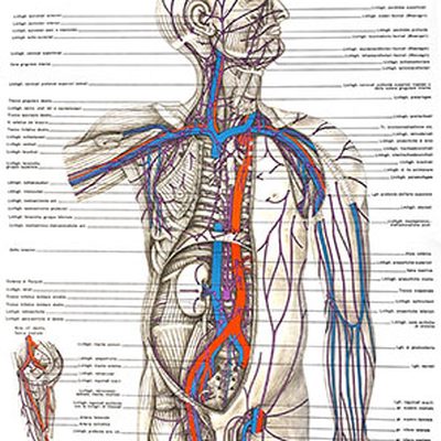 La cura del linfedema a Milano