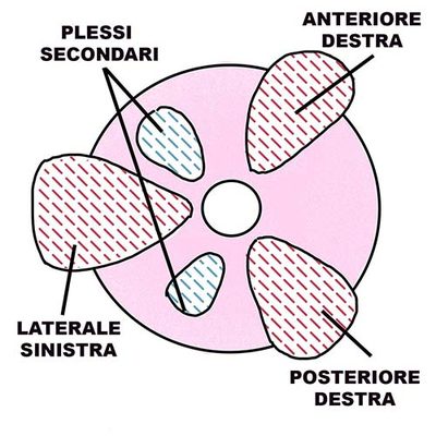 Elimina le emorroidi patologiche per sempre senza operazione