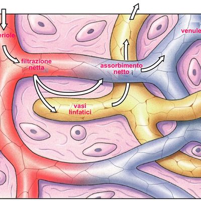 Il linfedema: cos'è e da cosa origina