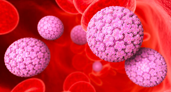 Virus HPV e condilomatosi