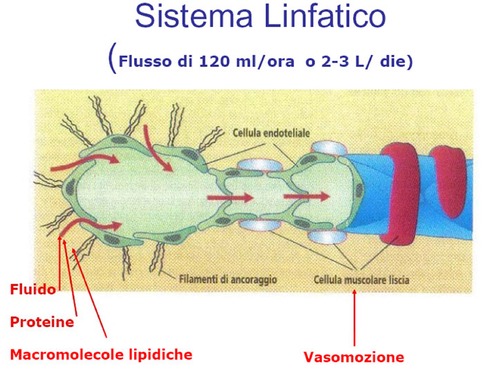 Il trattamento del linfedema a Milano